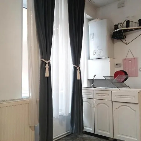 Apartament Centru Istoric Apartment *